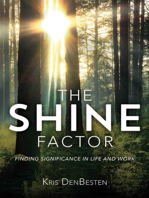 cover image of The Shine Factor
